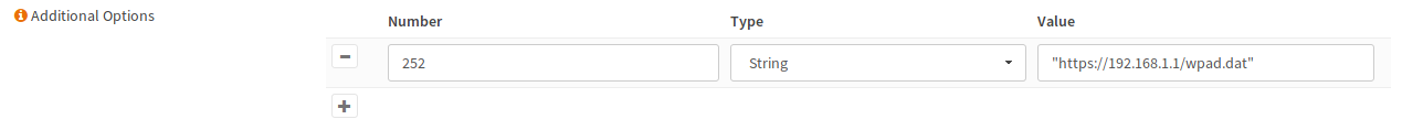 _images/wpad_dhcp_option.png